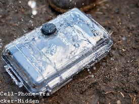Check Phone Value India