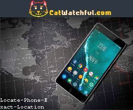 Gps Phone Tracker for Android