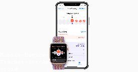 Phone Number Tracker Canada