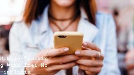 Phone Track Through Imei Number
