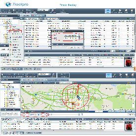 Qatar Phone Number Tracking Online