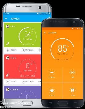 Track Phone With Imei Online